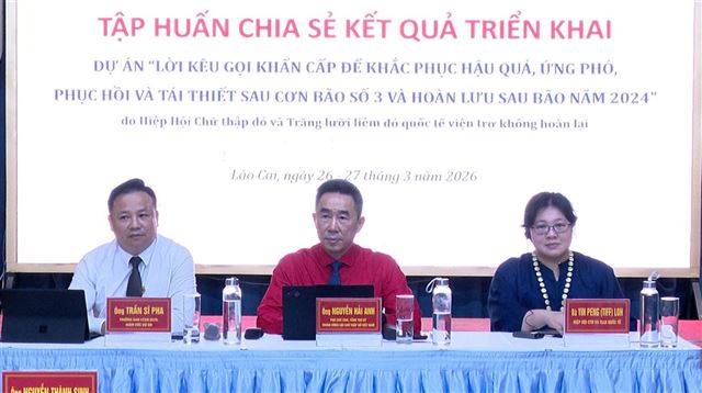 Hiệu quả thiết thực từ Dự án “Lời kêu gọi khẩn cấp” hỗ trợ người dân phục hồi sau bão số 3 (Yagi)