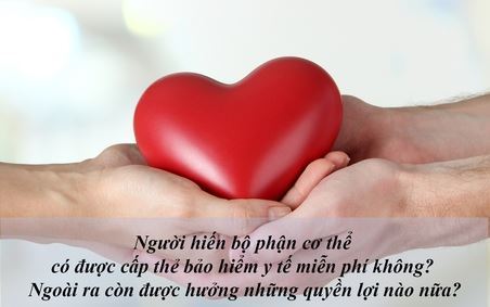 Người hiến bộ phận cơ thể có được cấp thẻ bảo hiểm y tế miễn phí không?