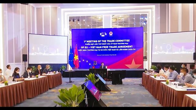 Việt Nam - Asean 30 năm một chặng đường