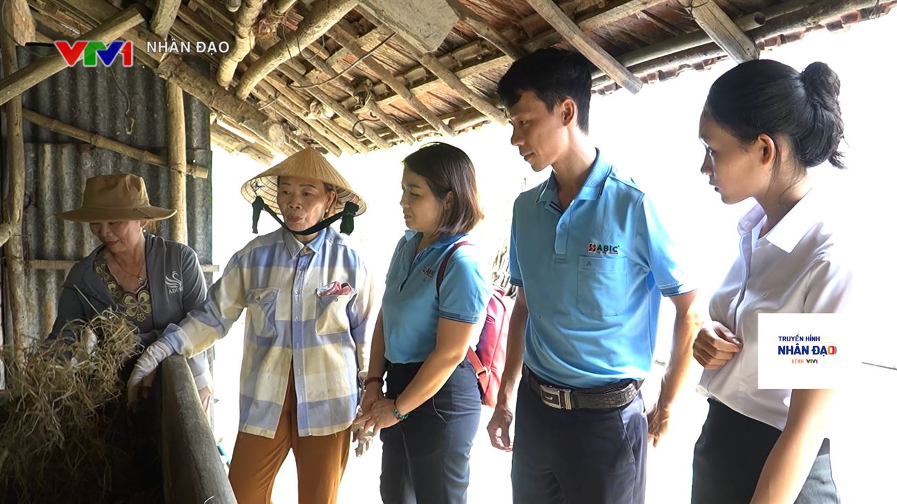 Điểm tựa giúp nông dân yên tâm vay vốn chăn nuôi, nâng cao chất lượng cuộc sống VTV1 Ngày 10.11.2025