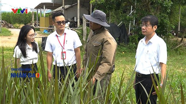 Nguồn vốn ưu đãi đồng hành cùng người dân phát triển kinh tế VTV1 Ngày 14.9.2026