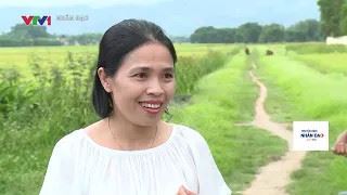 Bảo hiểm xã hội tự nguyện – chỗ dựa tin cậy của lao động tự do khi về già