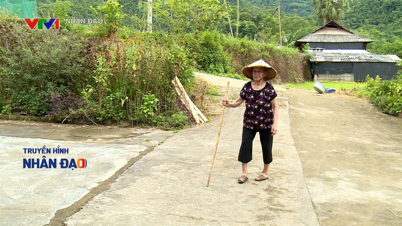 Nhịp cầu nhân ái VTV1 Ngày 14.9.2026