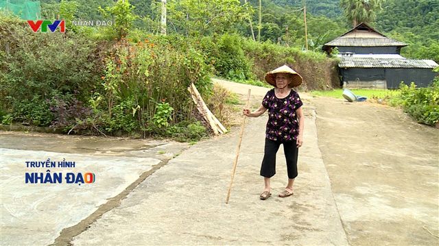 Nhịp cầu nhân ái VTV1 Ngày 14.9.2026
