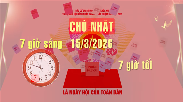 Quy trình bầu cử ngày 15.3.2026