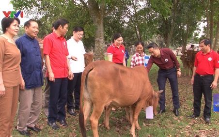 5 năm hành trình nhân ái VTV1 Ngày 16.11.2020