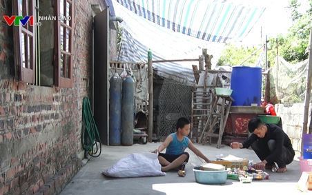 Nhịp cầu nhân ái VTV1 Ngày 29 06 2020