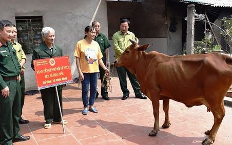 Cựu chiến binh huyện Tân Yên: Giúp nhau vượt khó