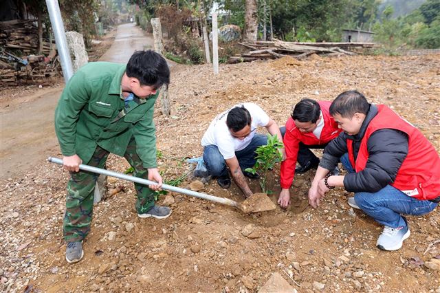 Bắc Kạn: Hỗ trợ cây giống cho các hộ nghèo, hộ có hoàn cảnh khó khăn
