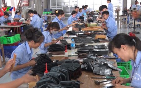 Chương trình Truyền hình Nhân đạo VTV1 ngày 15 10 2018