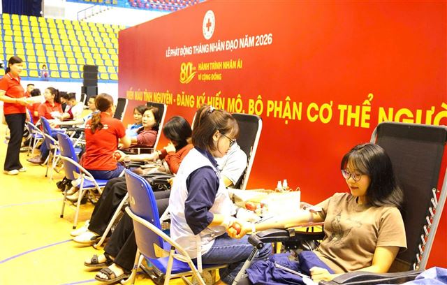 Ngày Quốc tế người hiến máu 14/6/2026: Giọt máu tình người – Hiến máu đào, trao sự sống