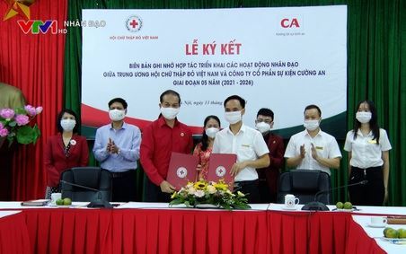 Dưới tác động của Covid19, doanh nghiệp nỗ lực vượt khó, đóng góp cho cộng đồng VTV1 Ngày 19.7.2021