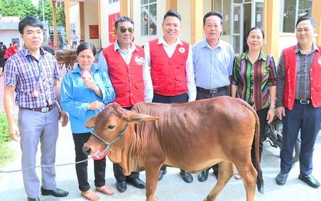 Hội CTĐ Huyện Đông Anh, Hà Nội: Trao tặng bò giống cho các hộ khó khăn xã Nam Hồng và xã Kim Chung