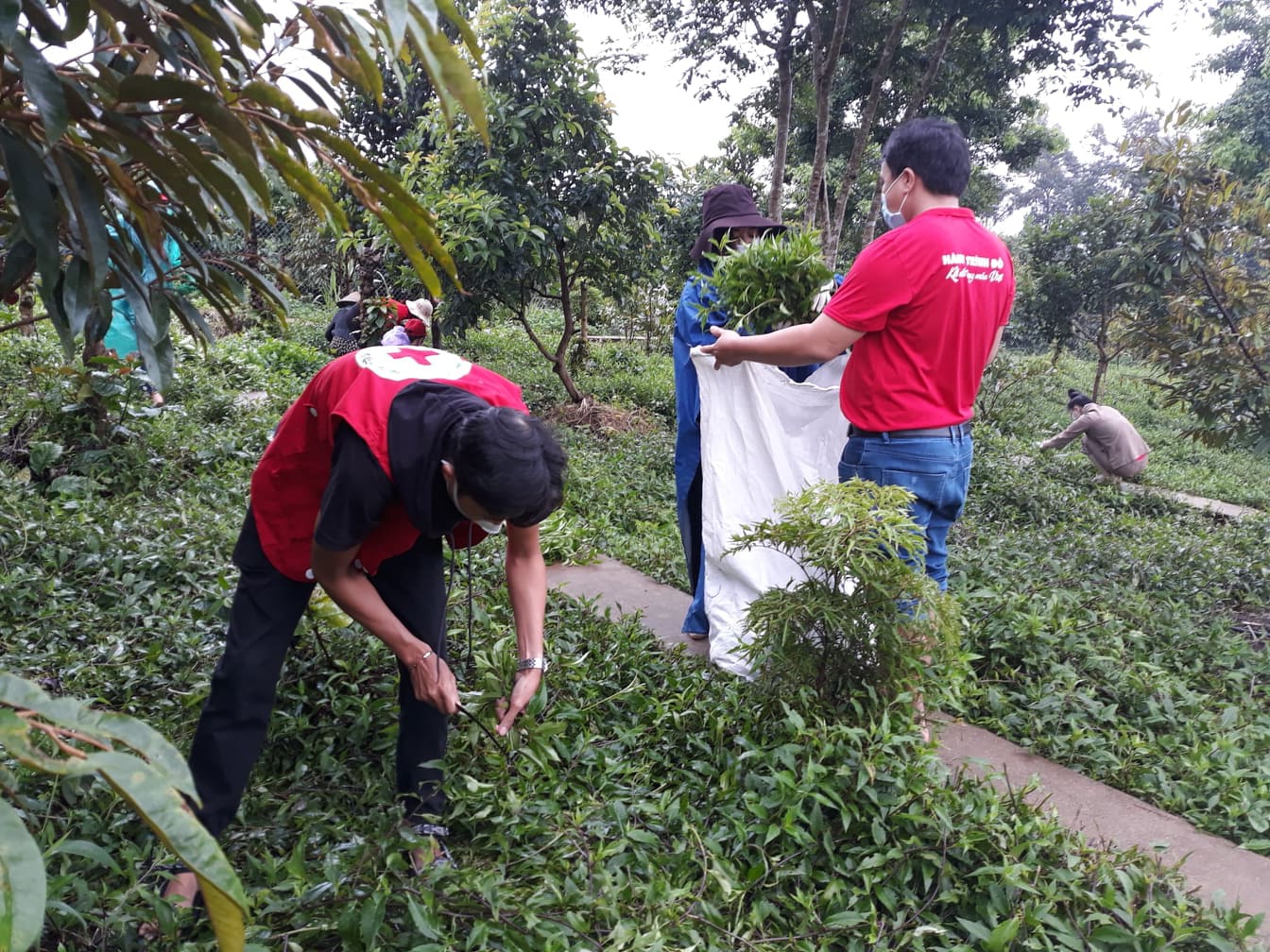 Gia Lai: Hỗ trợ gần 15 tấn rau cho người dân vùng dịch Đồng Nai và Bình Dương