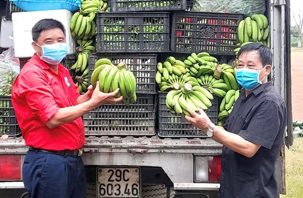 Phú Thọ: Những chuyến hàng chở hàng tấn rau, củ, quả nối tiếp hỗ trợ người dân Thủ đô