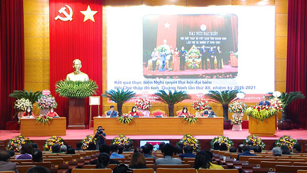 Quảng Ninh: Tổng giá trị hoạt động đạt 284 tỷ đồng, trợ giúp trên 814.000 người