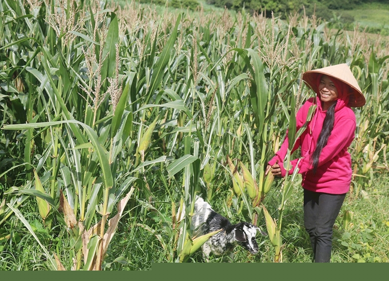 Bình Thuận: Đặt mục tiêu năm 2023 sẽ giảm 0,52% hộ nghèo toàn tỉnh