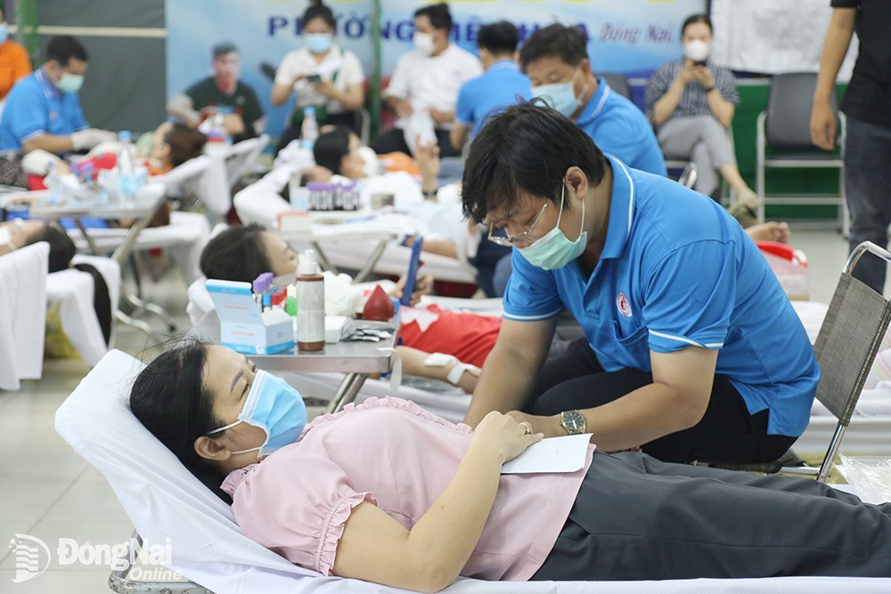 Đông Nai: Phát động chiến dịch Những giọt máu hồng hè năm 2023
