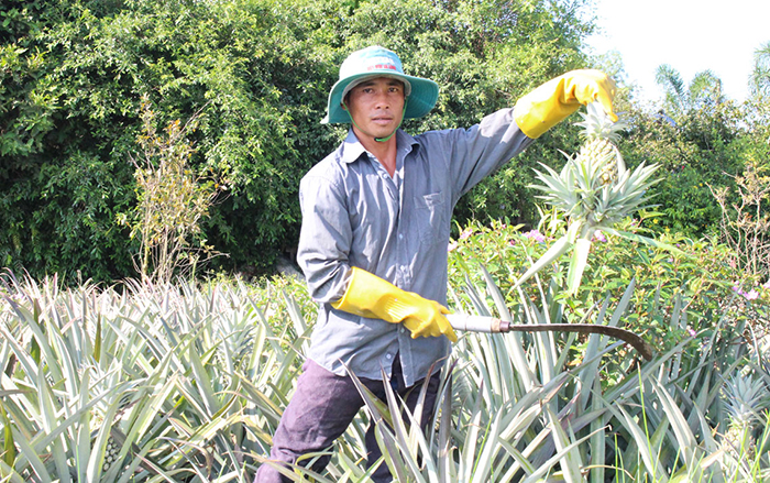 Long An phấn đấu mỗi năm giảm 10% tổng số hộ nghèo theo chuẩn đa chiều