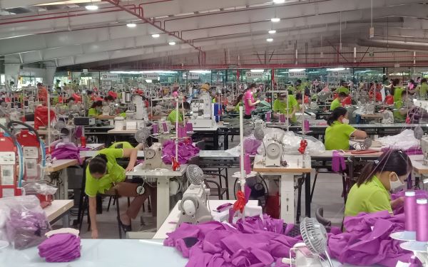 Gần 67.000 lao động ở Thái Bình được nhận hỗ trợ của Chính phủ