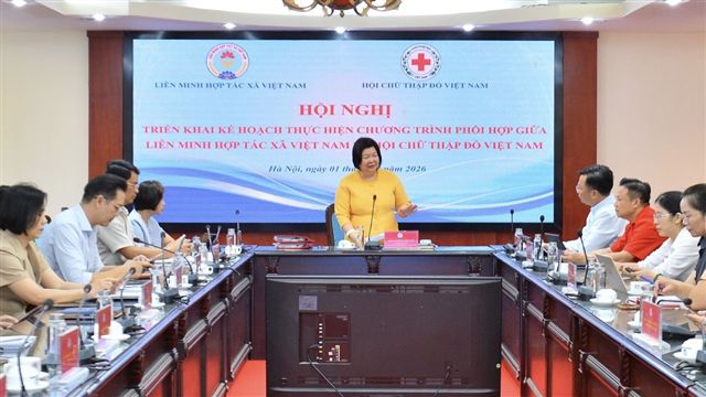 Gắn hỗ trợ nhân đạo với sinh kế, việc làm và thu nhập bền vững
