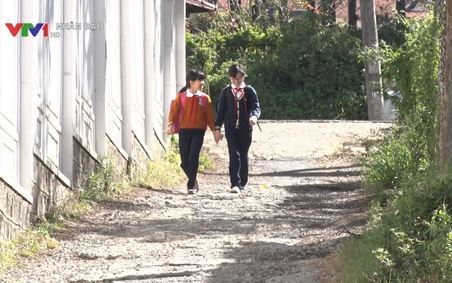 Nhip cầu Nhân ái VTV1 ngày 7 1 2019