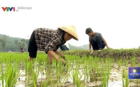 Nhịp cầu nhân ái VTV1 Ngày 09 03 2020