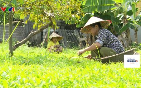 Chương trình Truyền hình Nhân đạo VTV1 Ngày 20.6.2022