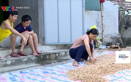 Chương trình Truyền hình Nhân đạo VTV1 Ngày 4.7.2022