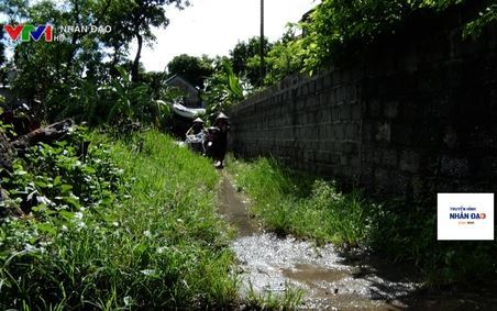 Chương trình Truyền hình Nhân đạo VTV1 Ngày 25.7.2022