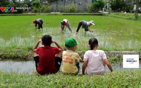 Nhịp cầu nhân ái VTV1 Ngày 8.8.2022