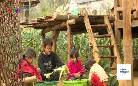 Nhịp cầu nhân ái VTV1 Ngày 3.4.2023