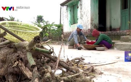 Chương trình Truyền hình Nhân đạo VTV1 Ngày 13 04 2020