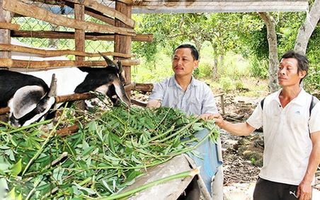 Nhiều mô hình trợ giúp người nghèo từ cộng đồng