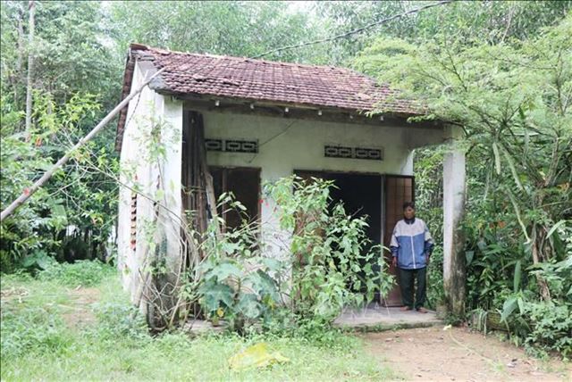 Quảng Ngãi nỗ lực xóa nhà tạm, giúp người dân thoát nghèo bền vững