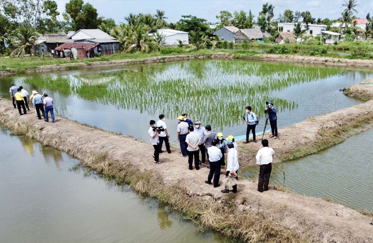 Cà Mau: Mở rộng thị trường nội địa - Bước đi mới để phục hồi kinh tế - Ảnh 1.