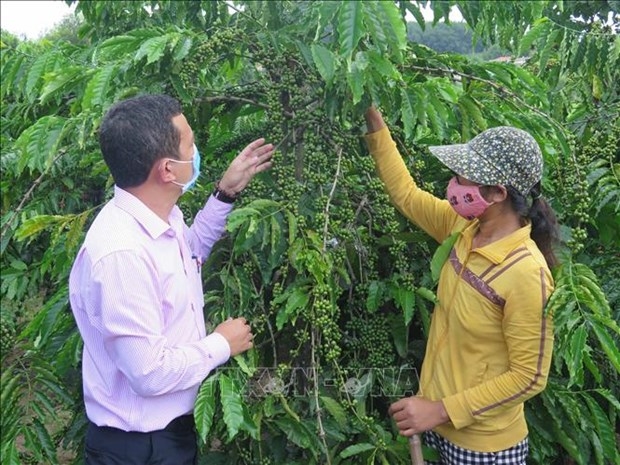 Thay đổi nếp nghĩ, cách làm để thoát nghèo bền vững - Ảnh 1.