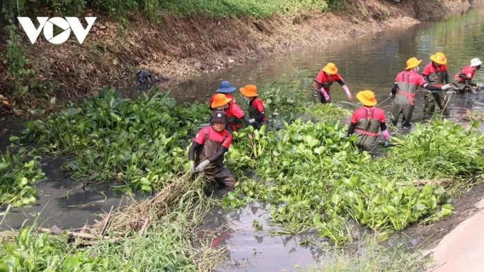 Những công nhân sáng vào nhà máy, chiều ra kênh dọn rác ở Bình Dương - Ảnh 2.