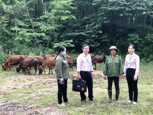 Bắc Kạn: Thực hiện hiệu quả nguồn vốn chính sách trong giảm nghèo bền vững - Ảnh 2.