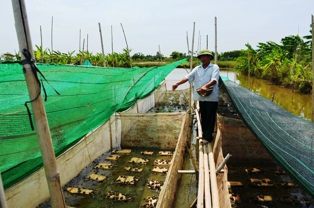 Cảm phục những gương thương binh giàu nghị lực ở huyện Hải Hậu - Ảnh 1.