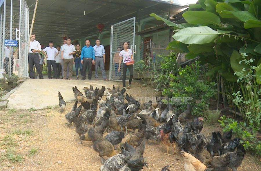 Thái Nguyên phấn đấu giảm 3.365 hộ nghèo theo chuẩn nghèo đa chiều - Ảnh 1.