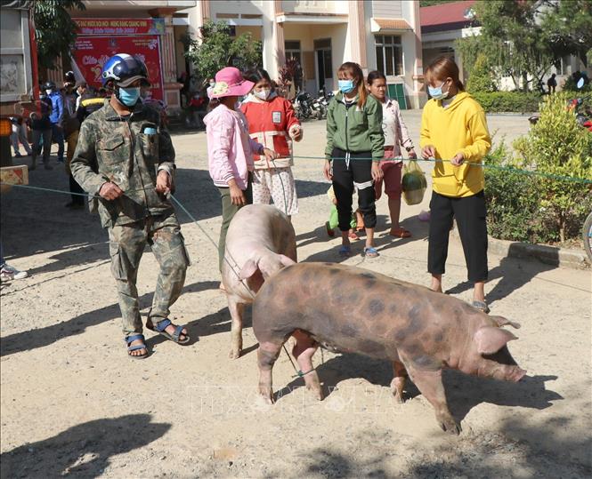 Trao tặng quà Tết, giúp đỡ đồng bào dân tộc thiểu số ở Kon Tum - Ảnh 1.