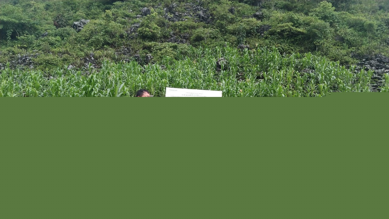 Cô gái người Cờ Lao và Hợp tác xã Po Mỷ - Ảnh 2.