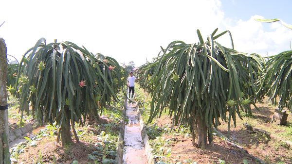 Thái Bình: Tập trung thực hiện chính sách giảm nghèo bền vững - Ảnh 2.