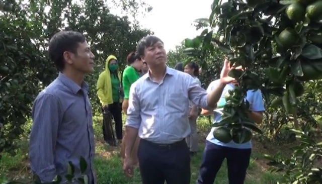 Đắk Lắk: Nguồn vốn tín dụng chính sách giúp đồng bào dân tộc giảm nghèo - Ảnh 1.