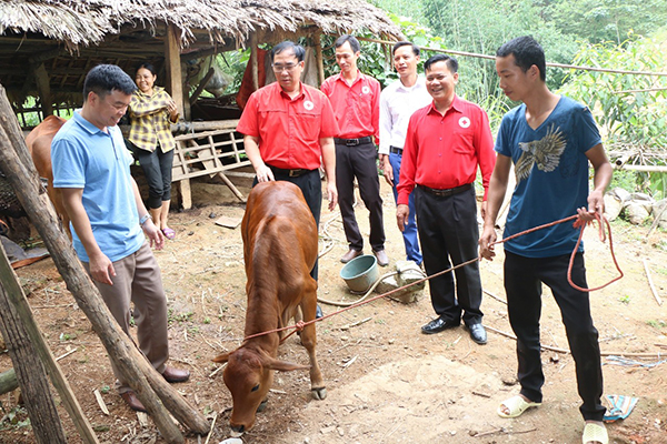 Phú Thọ: Nhiều hoạt động “Gắn kết cộng đồng – Lan tỏa hành động nhân ái” - Ảnh 2.