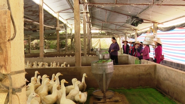 Thái Nguyên nỗ lực giảm nghèo, đảm bảo an sinh xã hội - Ảnh 1.